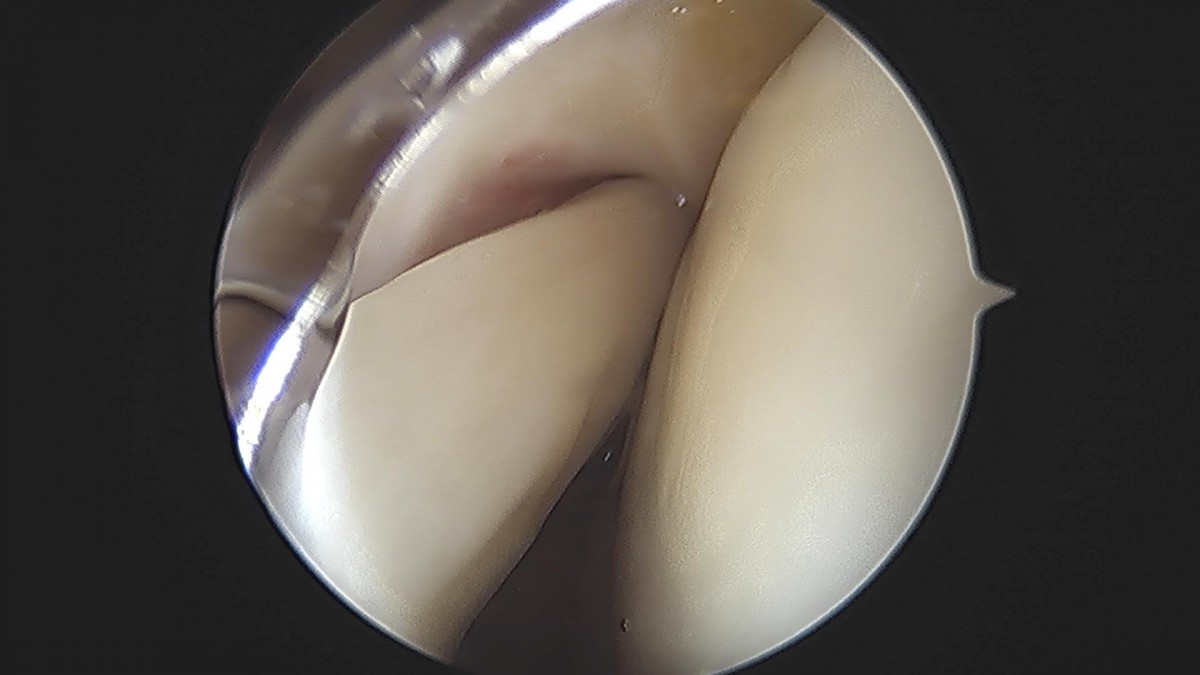 3cd48a8e02e388456e21d82dd041ccef_1652069152_5475.jpg