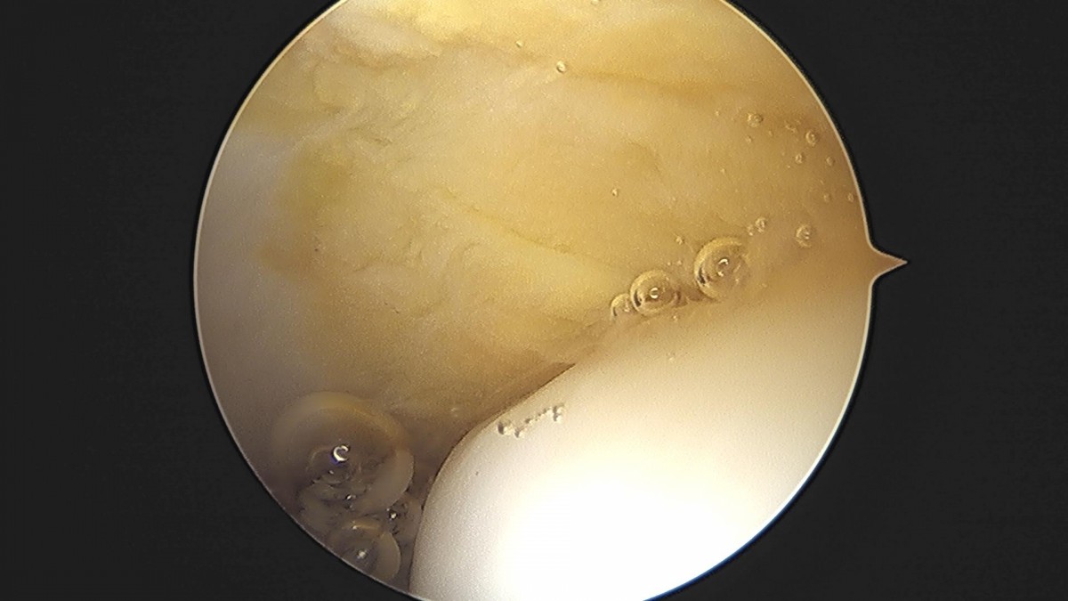 3cd48a8e02e388456e21d82dd041ccef_1652069153_2563.jpg