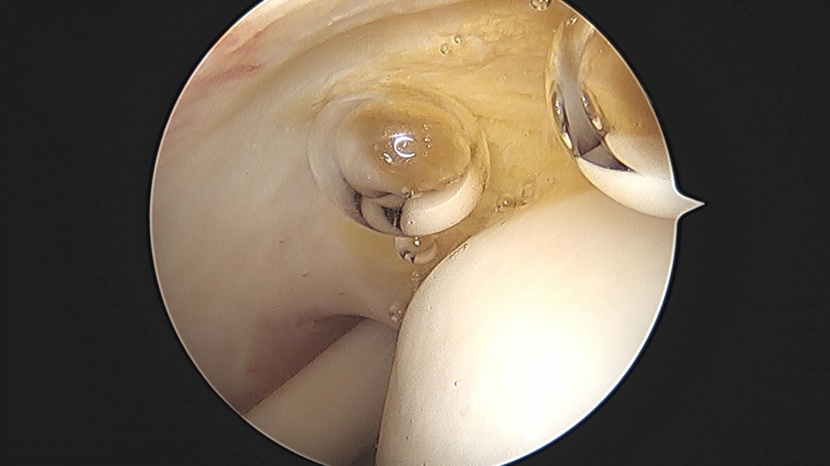 3cd48a8e02e388456e21d82dd041ccef_1652069154_5667.jpg