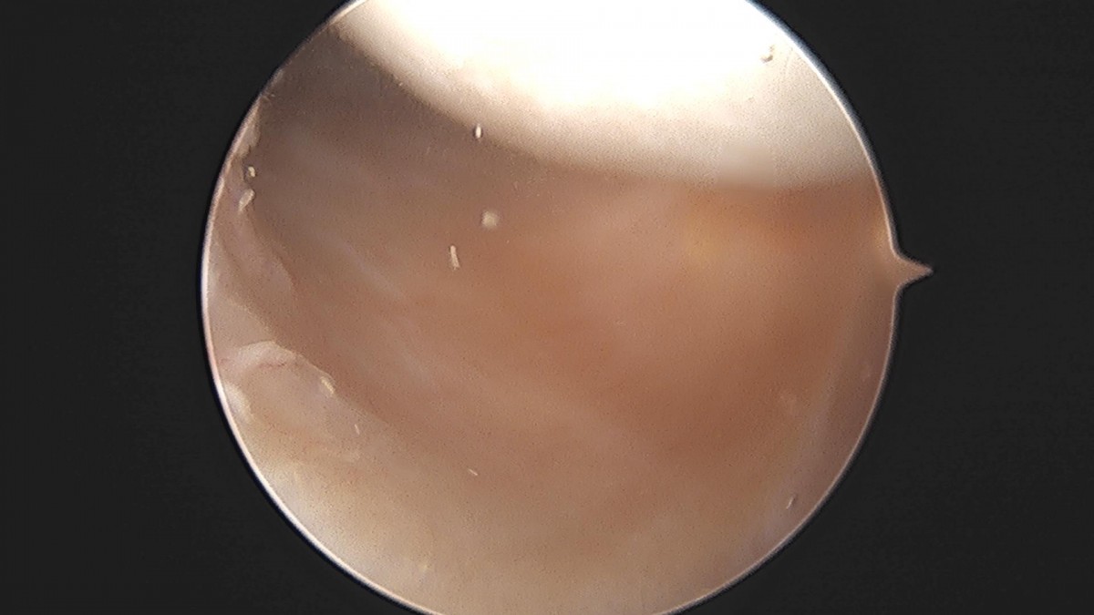 3cd48a8e02e388456e21d82dd041ccef_1652069155_2989.jpg