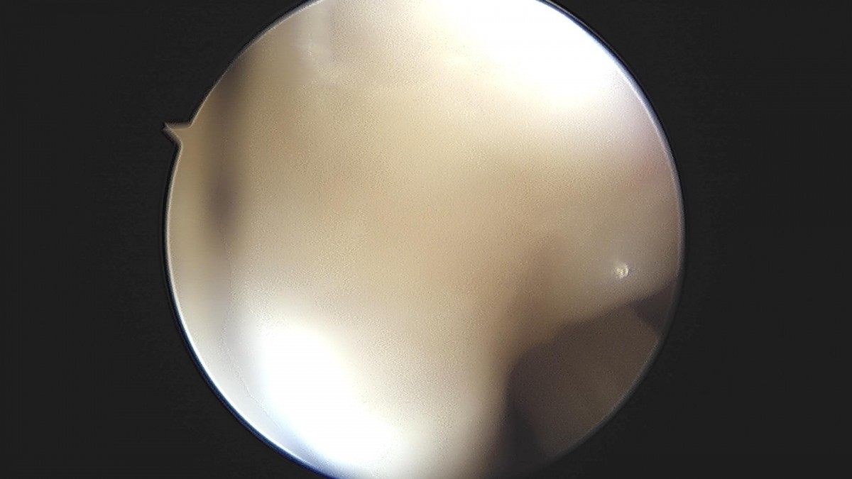 3cd48a8e02e388456e21d82dd041ccef_1652069263_4364.jpg