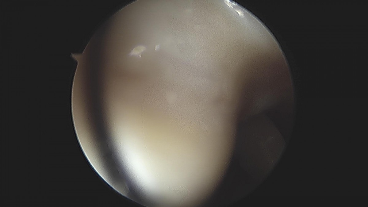 3cd48a8e02e388456e21d82dd041ccef_1652069264_1404.jpg
