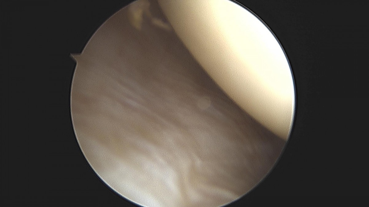 3cd48a8e02e388456e21d82dd041ccef_1652069264_8518.jpg