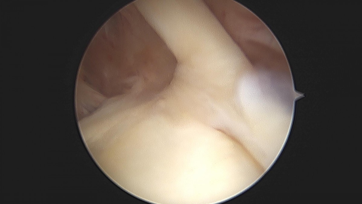 3cd48a8e02e388456e21d82dd041ccef_1652069266_1842.jpg