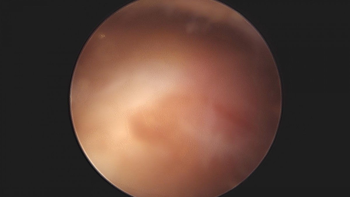 3cd48a8e02e388456e21d82dd041ccef_1652069266_8546.jpg