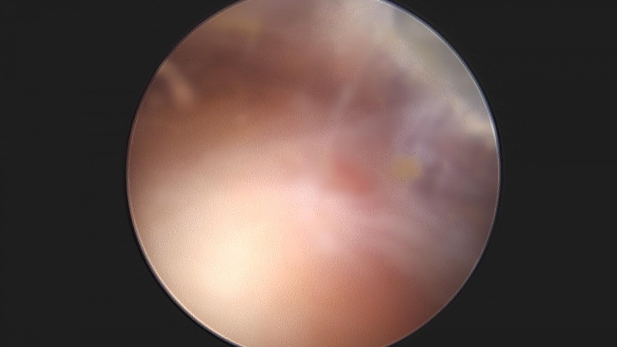 3cd48a8e02e388456e21d82dd041ccef_1652069267_5692.jpg