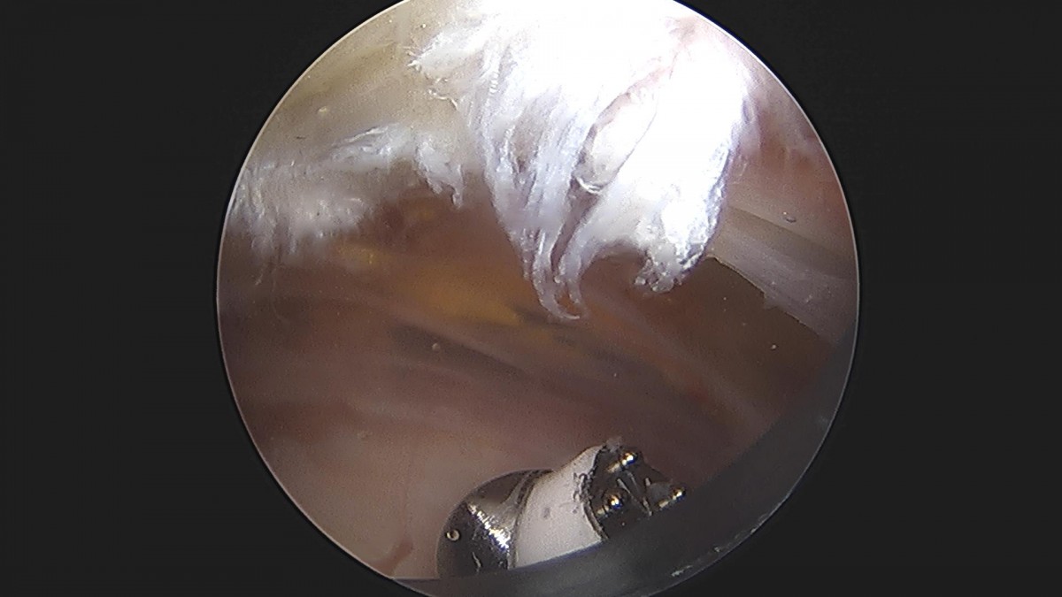 3cd48a8e02e388456e21d82dd041ccef_1652069268_9118.jpg