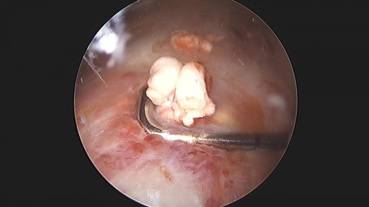 3cd48a8e02e388456e21d82dd041ccef_1652069277_7395.jpg
