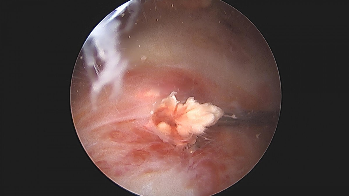 3cd48a8e02e388456e21d82dd041ccef_1652069278_4252.jpg