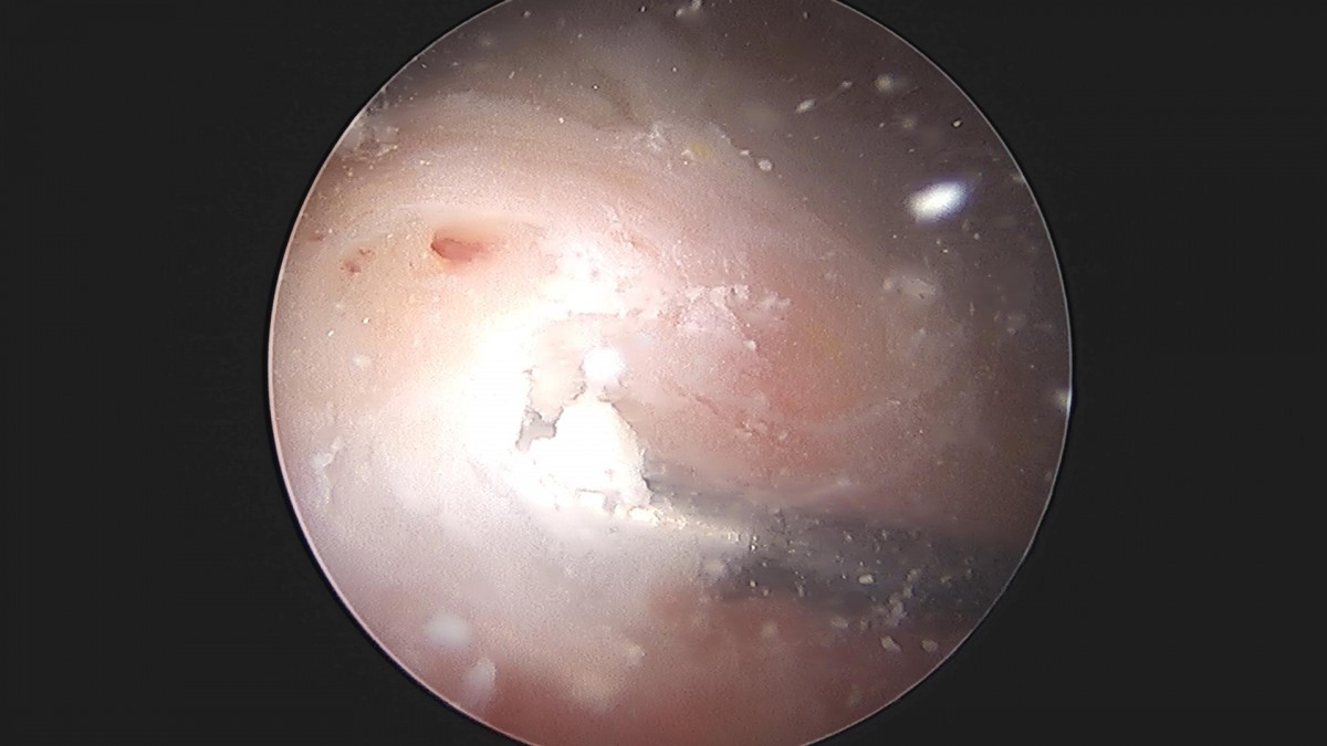 3cd48a8e02e388456e21d82dd041ccef_1652069279_7569.jpg