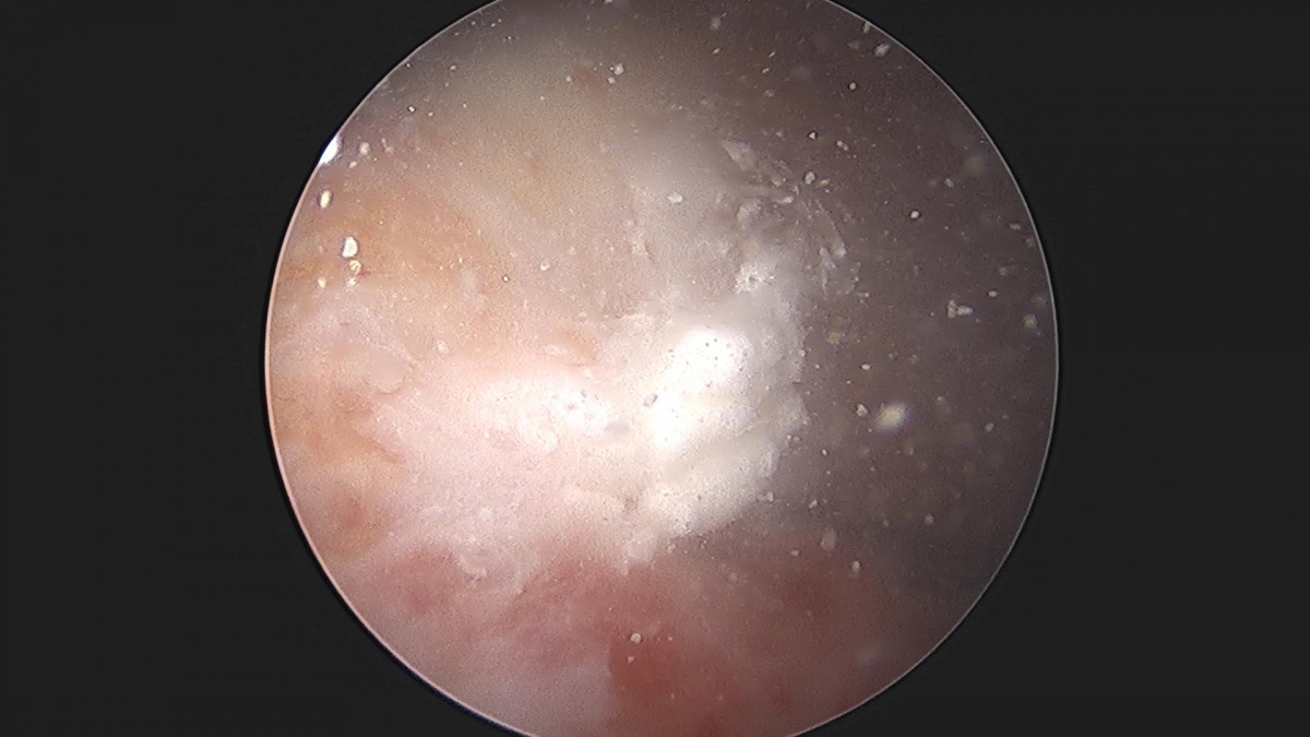 3cd48a8e02e388456e21d82dd041ccef_1652069281_107.jpg