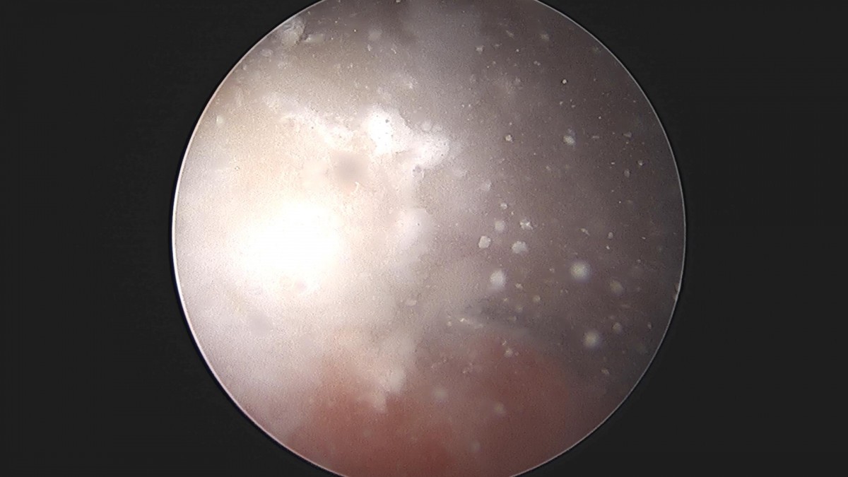 3cd48a8e02e388456e21d82dd041ccef_1652069281_7818.jpg