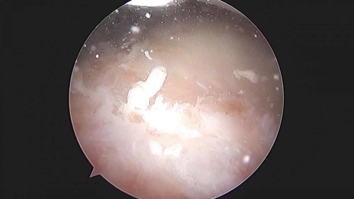 3cd48a8e02e388456e21d82dd041ccef_1652069283_2862.jpg