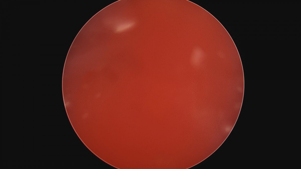 14d9a0780b6514a0e7038971c42c290a_1654675592_5415.jpg