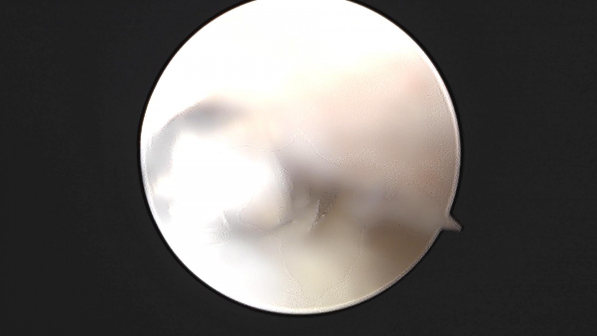 14d9a0780b6514a0e7038971c42c290a_1654675859_7334.jpg