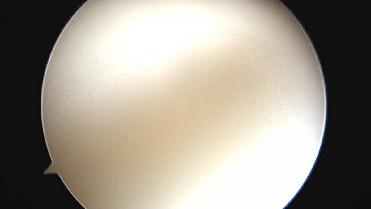 14d9a0780b6514a0e7038971c42c290a_1654676115_6545.jpg