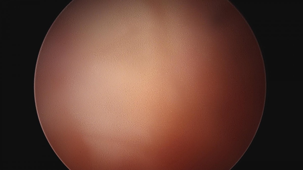 14d9a0780b6514a0e7038971c42c290a_1654676119_141.jpg