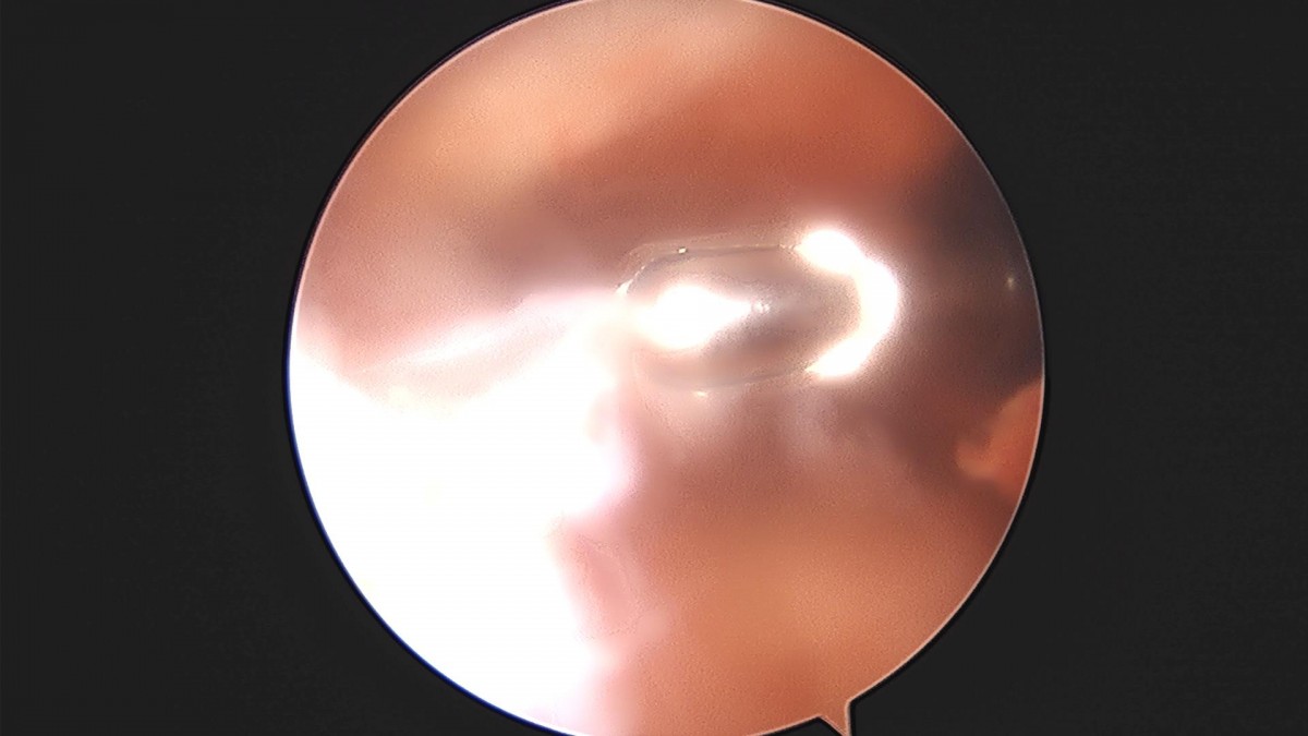 3d4f27b63eab0959db34cd7061cf6e91_1661152945_3222.jpg