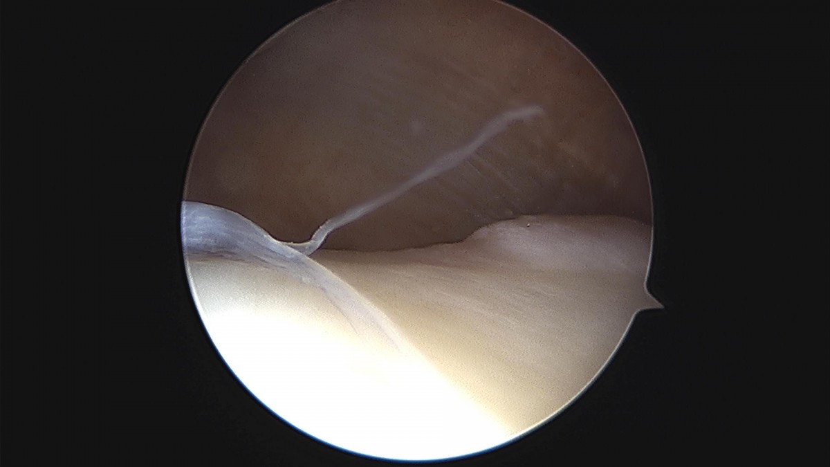 3d4f27b63eab0959db34cd7061cf6e91_1661153477_223.jpg