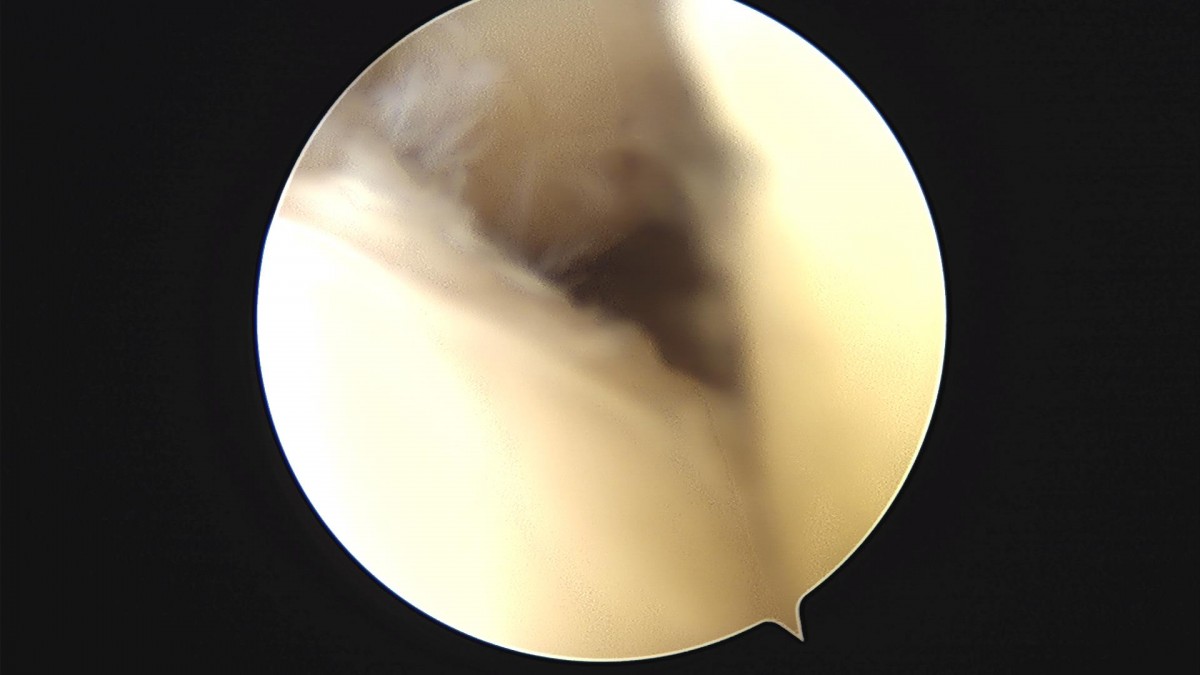 3d4f27b63eab0959db34cd7061cf6e91_1661153573_9368.jpg