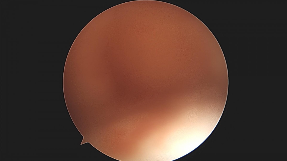 3d4f27b63eab0959db34cd7061cf6e91_1661154071_7859.jpg