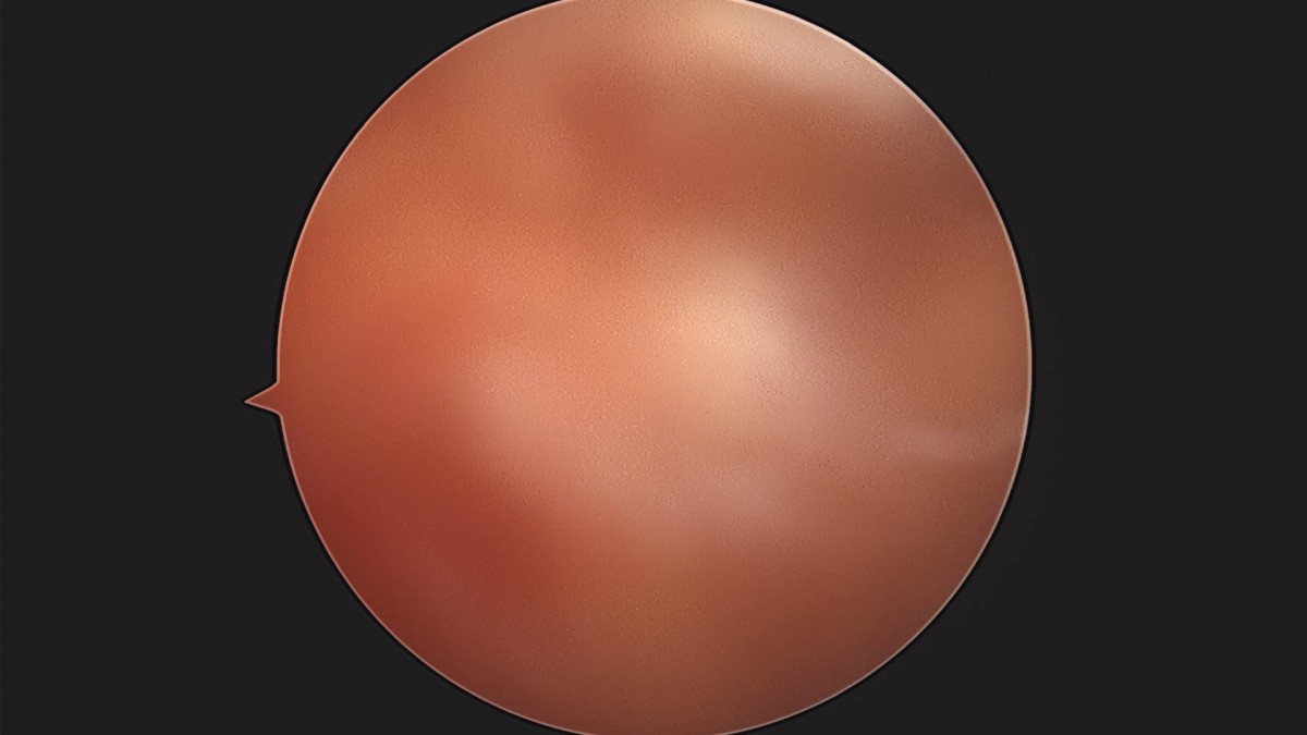 3d4f27b63eab0959db34cd7061cf6e91_1661154072_4515.jpg