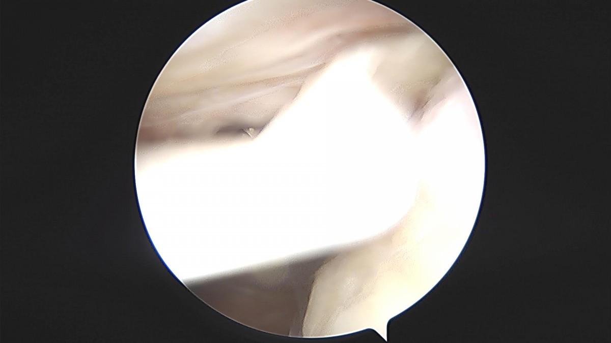 3d4f27b63eab0959db34cd7061cf6e91_1661154298_5727.jpg