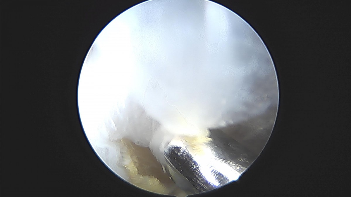 3d4f27b63eab0959db34cd7061cf6e91_1661154313_9815.jpg