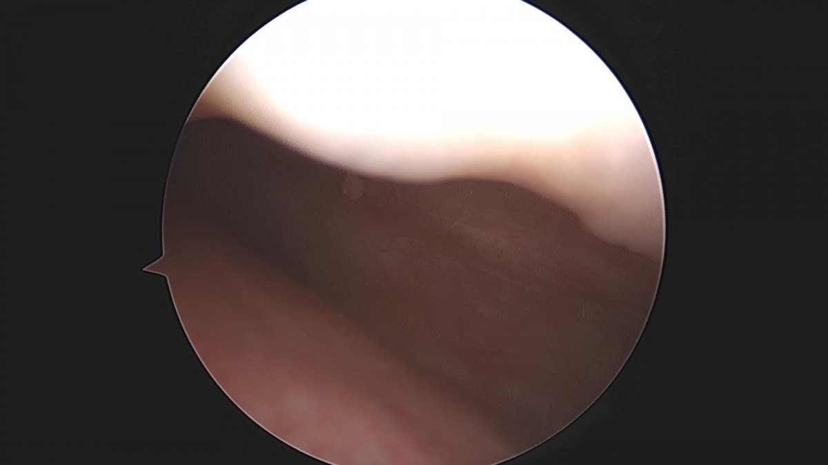 3d4f27b63eab0959db34cd7061cf6e91_1661155455_3697.jpg