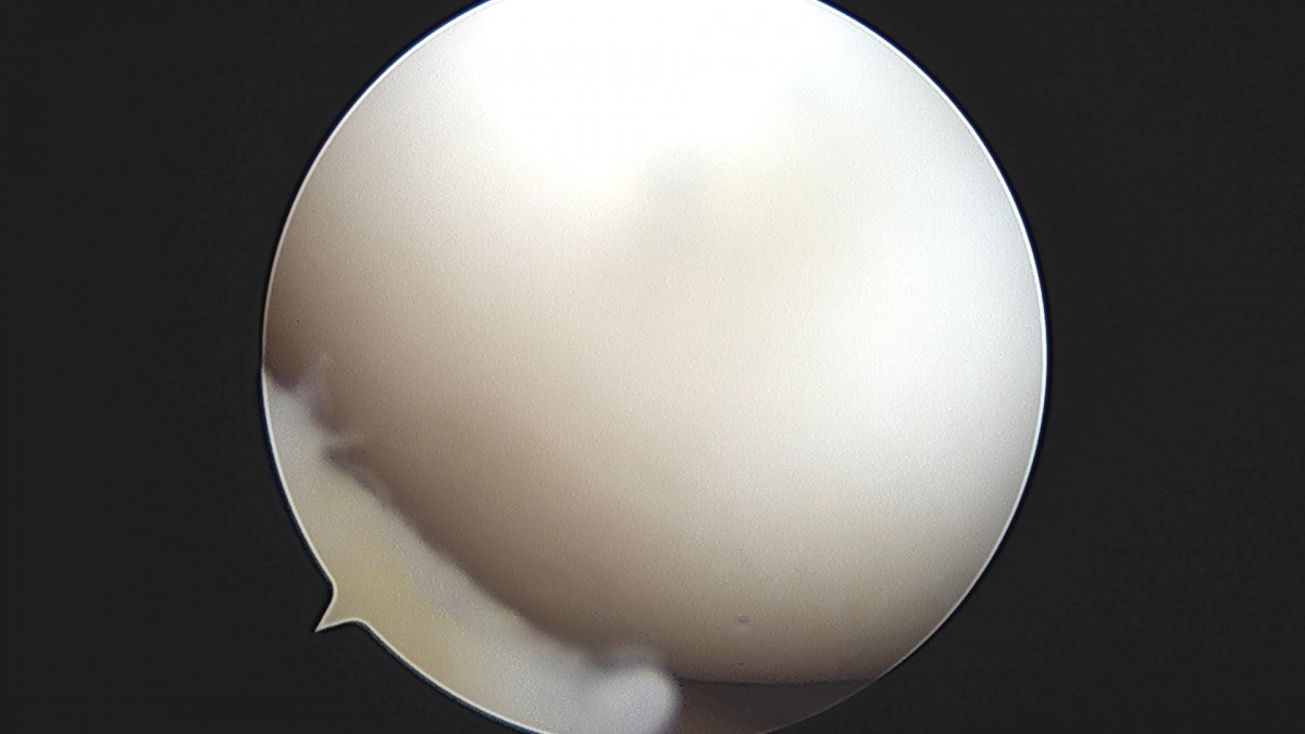 3d4f27b63eab0959db34cd7061cf6e91_1661155745_0239.jpg