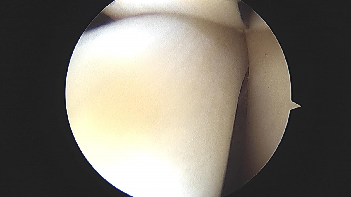 3d4f27b63eab0959db34cd7061cf6e91_1661156131_6925.jpg