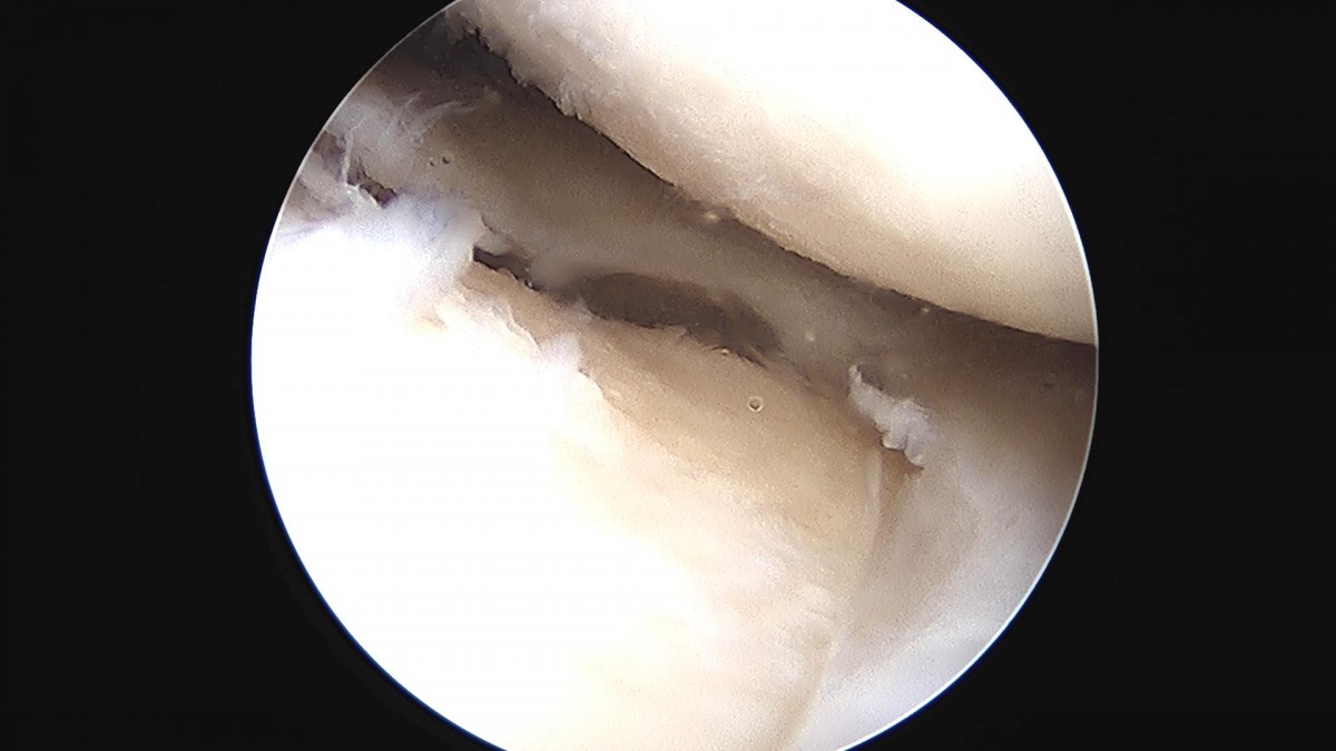 3d4f27b63eab0959db34cd7061cf6e91_1661157511_8509.jpg