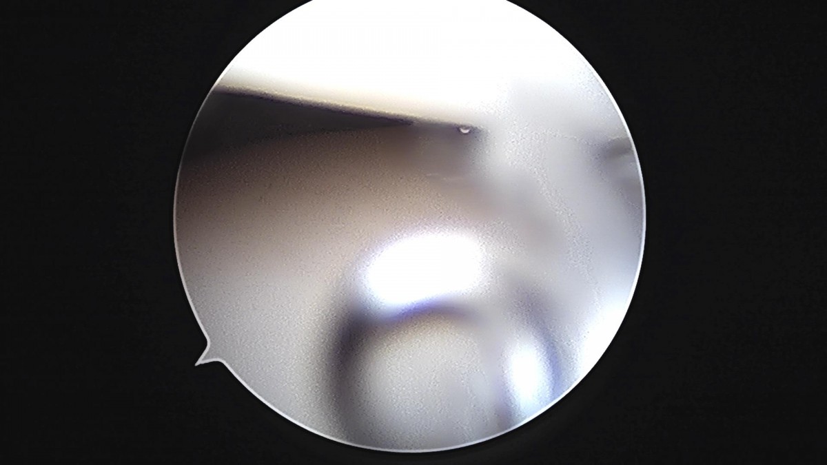 3d4f27b63eab0959db34cd7061cf6e91_1661157782_6813.jpg