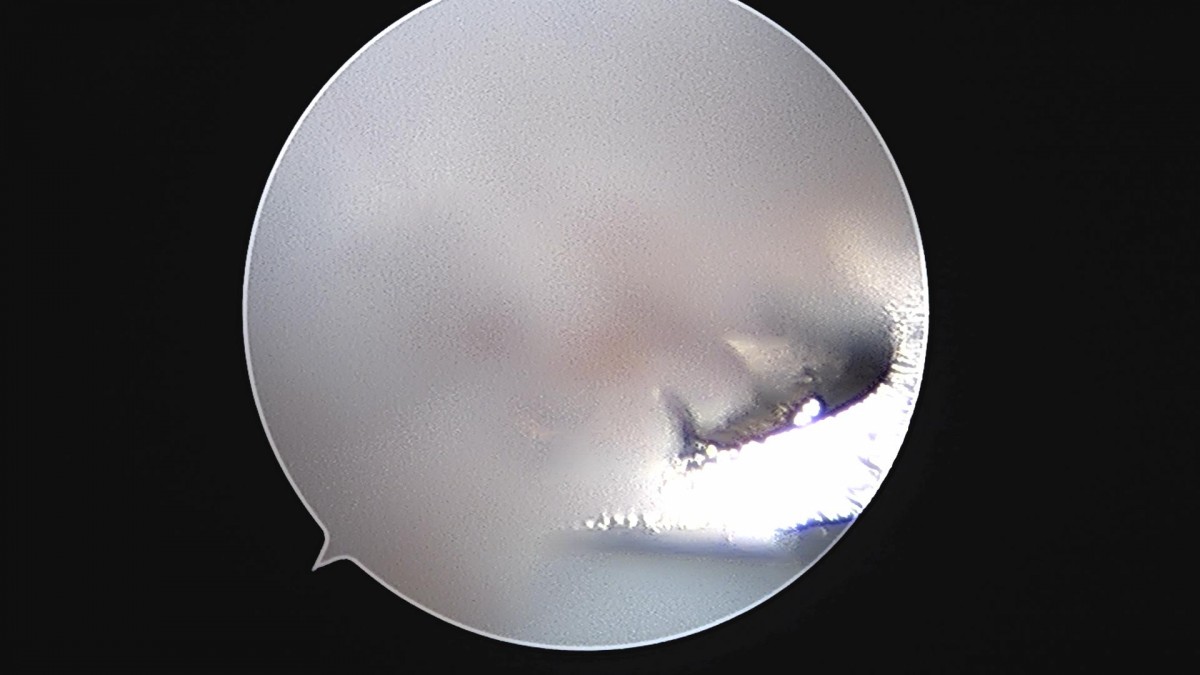 3d4f27b63eab0959db34cd7061cf6e91_1661157786_3276.jpg