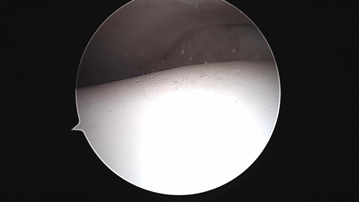 3d4f27b63eab0959db34cd7061cf6e91_1661157788_411.jpg