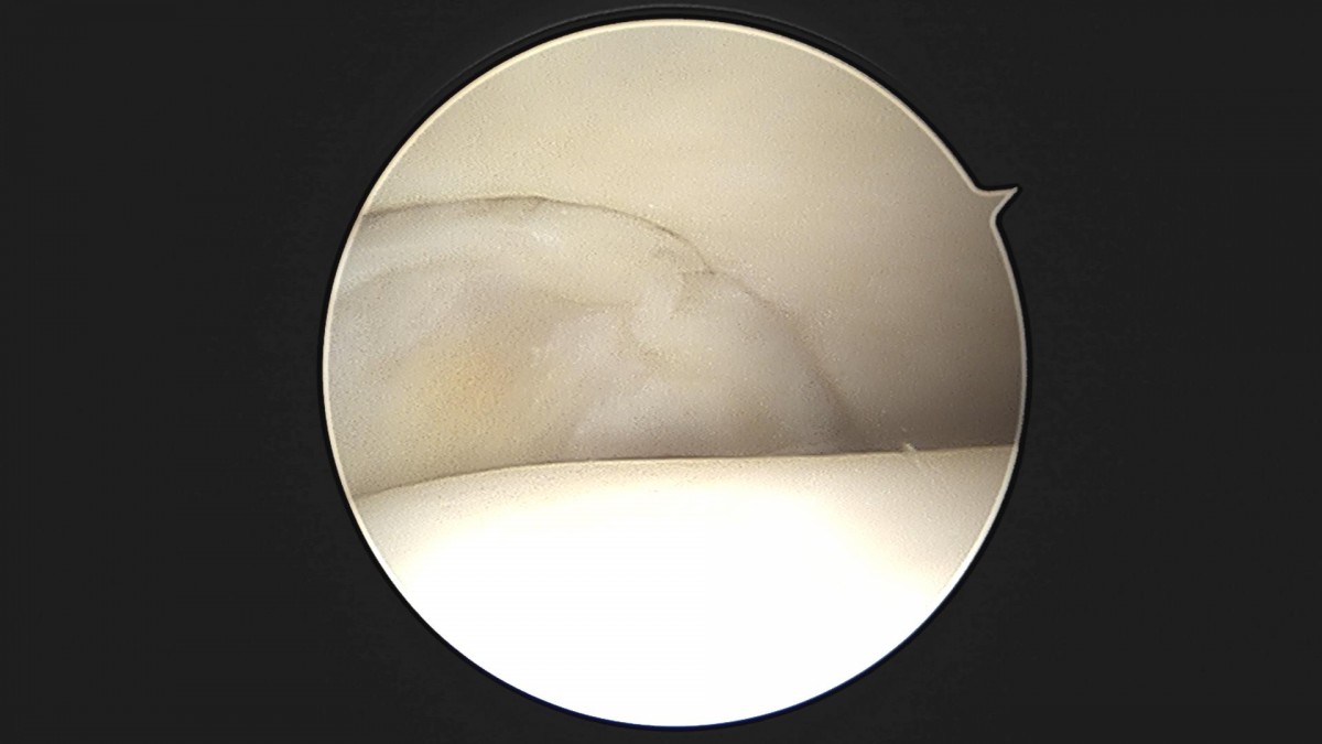 bccafb0c4c611c3a9fcb6ca752df8d40_1670486495_225.jpg