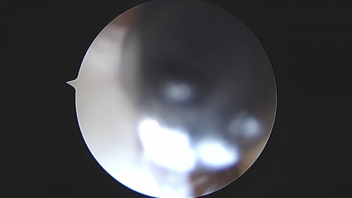 bccafb0c4c611c3a9fcb6ca752df8d40_1670486942_0881.jpg