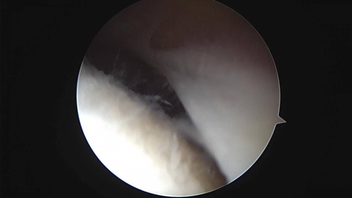 bccafb0c4c611c3a9fcb6ca752df8d40_1670487038_4433.jpg
