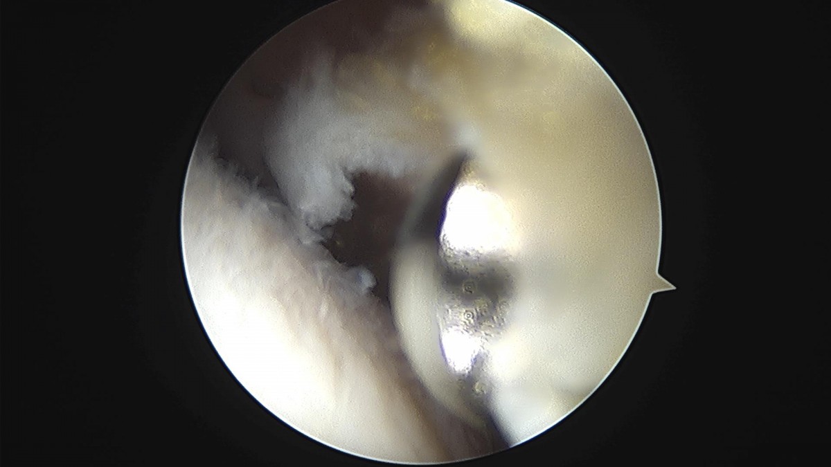 bccafb0c4c611c3a9fcb6ca752df8d40_1670487039_1069.jpg