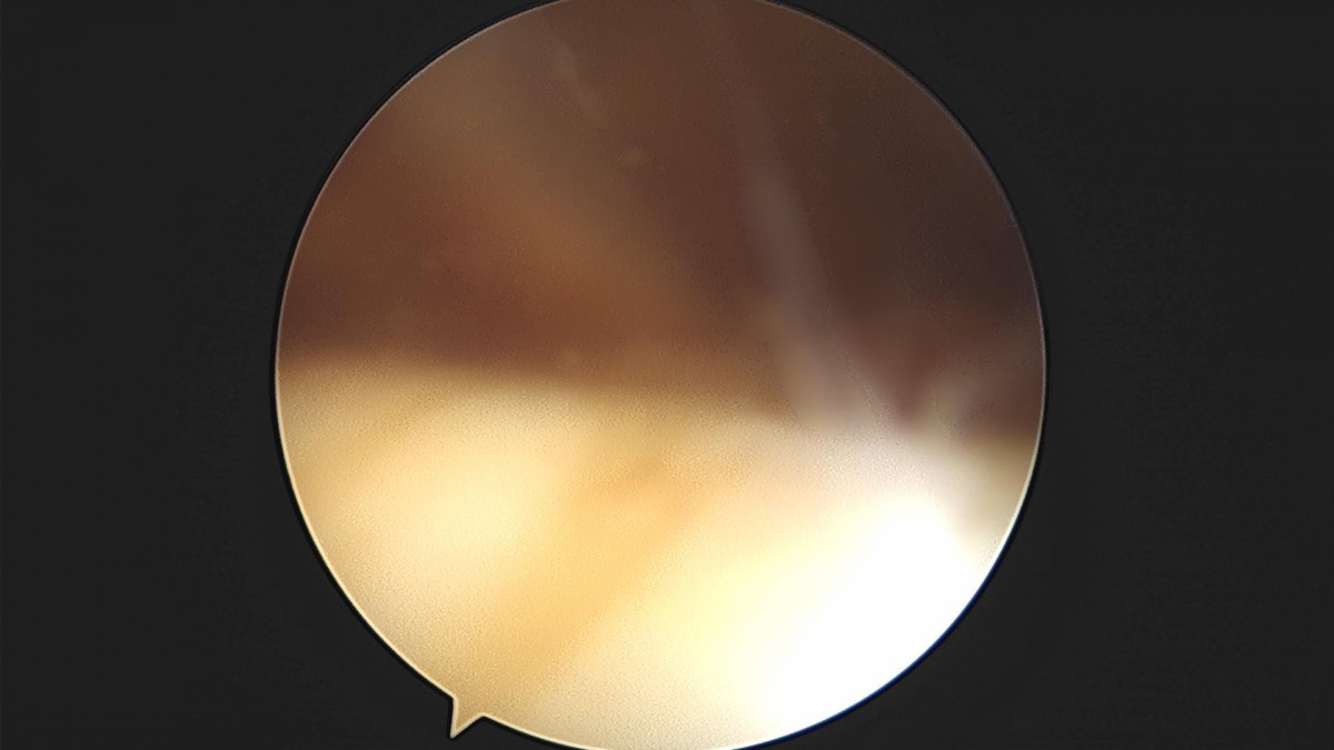 bccafb0c4c611c3a9fcb6ca752df8d40_1670487274_5918.jpg