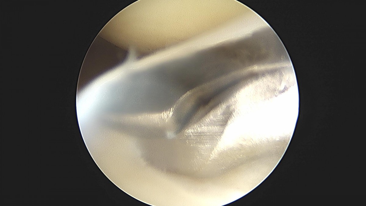 bccafb0c4c611c3a9fcb6ca752df8d40_1670487477_6367.jpg