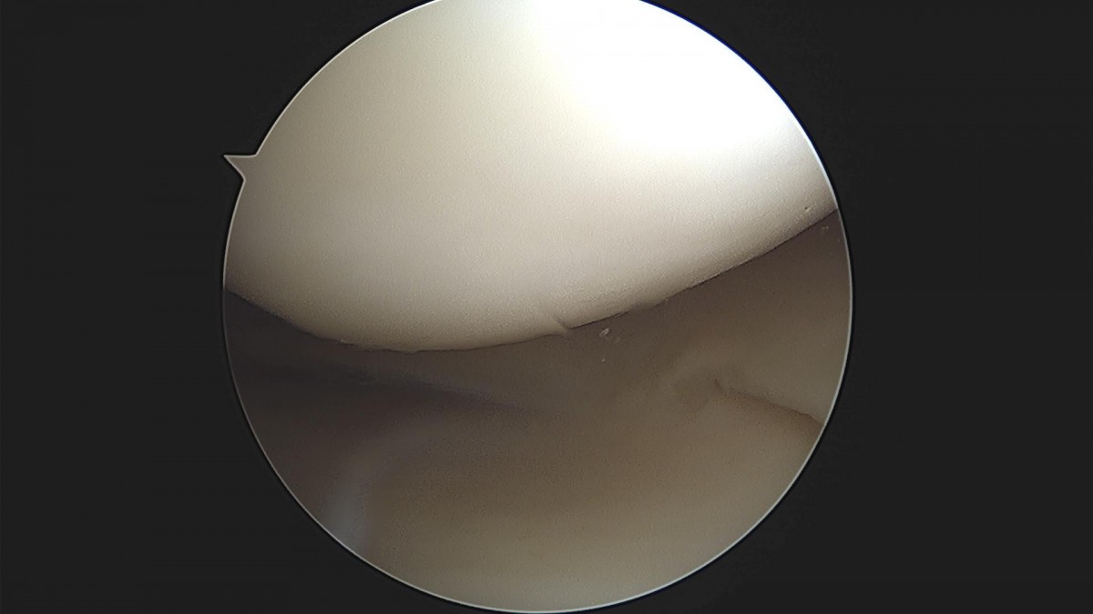 bccafb0c4c611c3a9fcb6ca752df8d40_1670487538_2189.jpg