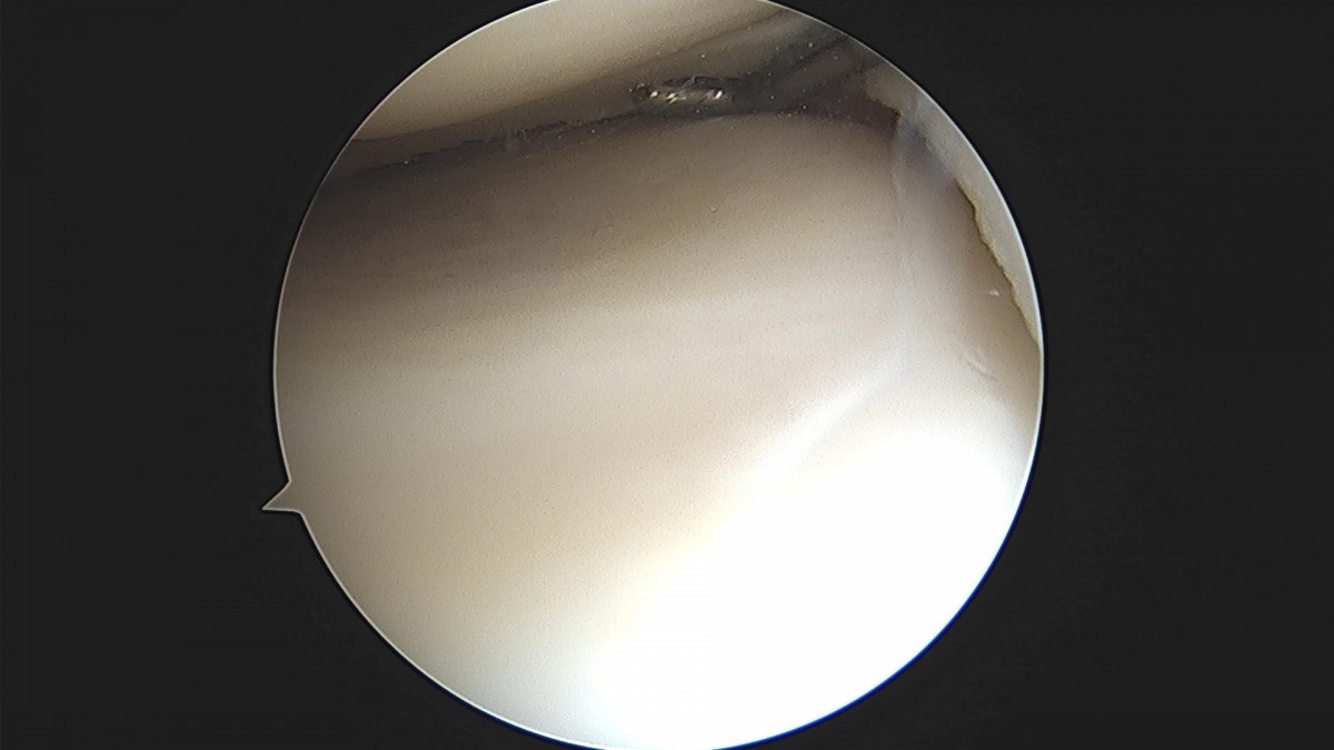 bccafb0c4c611c3a9fcb6ca752df8d40_1670487540_3367.jpg