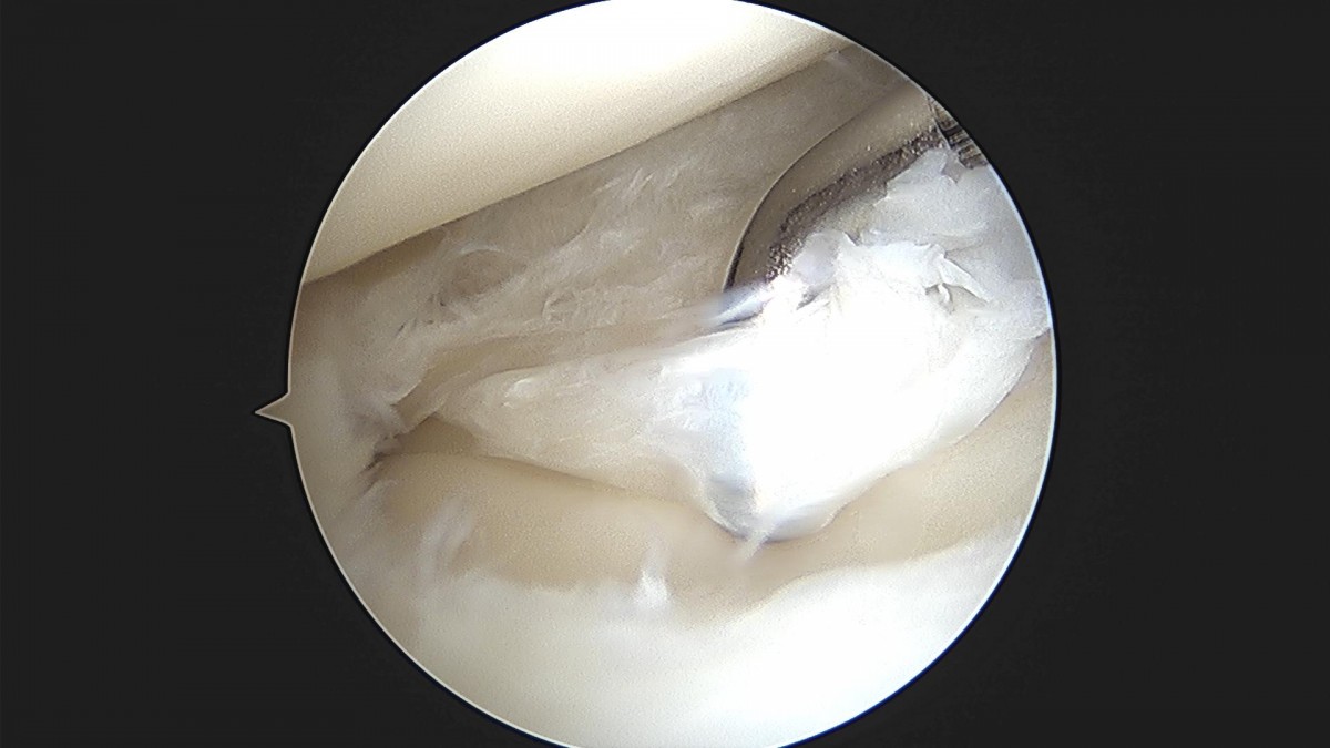 bccafb0c4c611c3a9fcb6ca752df8d40_1670487550_882.jpg