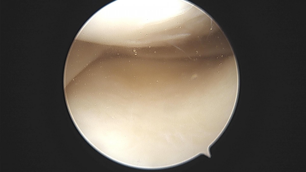 bccafb0c4c611c3a9fcb6ca752df8d40_1670487610_3695.jpg