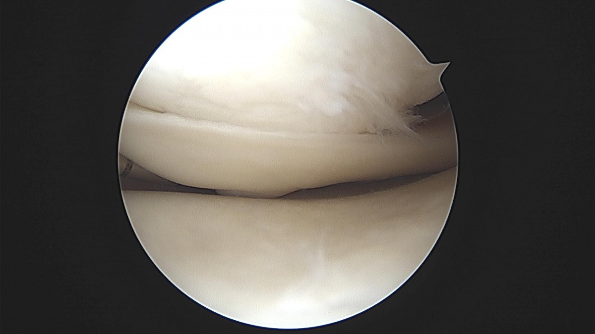 bccafb0c4c611c3a9fcb6ca752df8d40_1670487624_4092.jpg