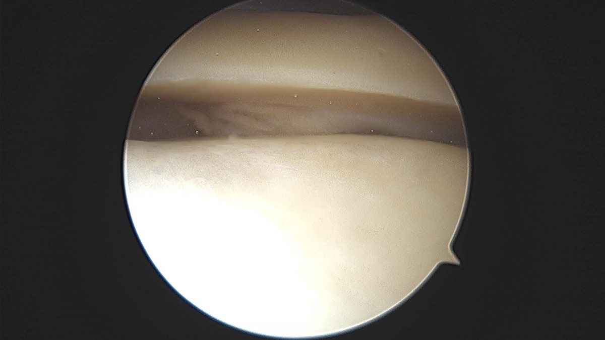 bccafb0c4c611c3a9fcb6ca752df8d40_1670487625_79.jpg