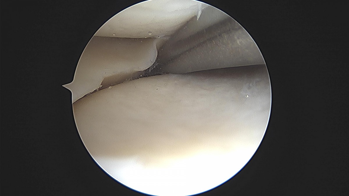bccafb0c4c611c3a9fcb6ca752df8d40_1670487627_2057.jpg