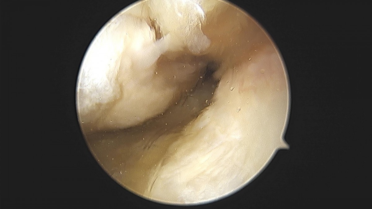 bccafb0c4c611c3a9fcb6ca752df8d40_1670487682_4956.jpg