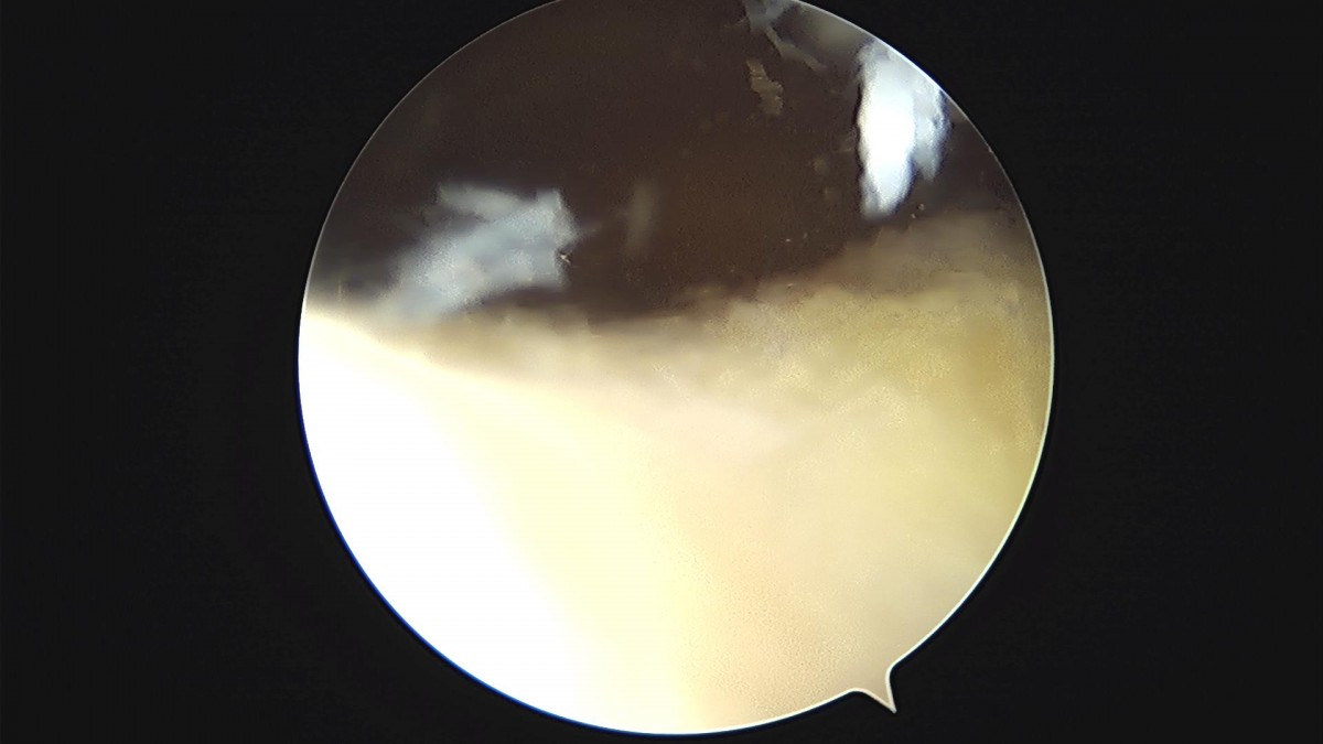 bccafb0c4c611c3a9fcb6ca752df8d40_1670487801_2018.jpg